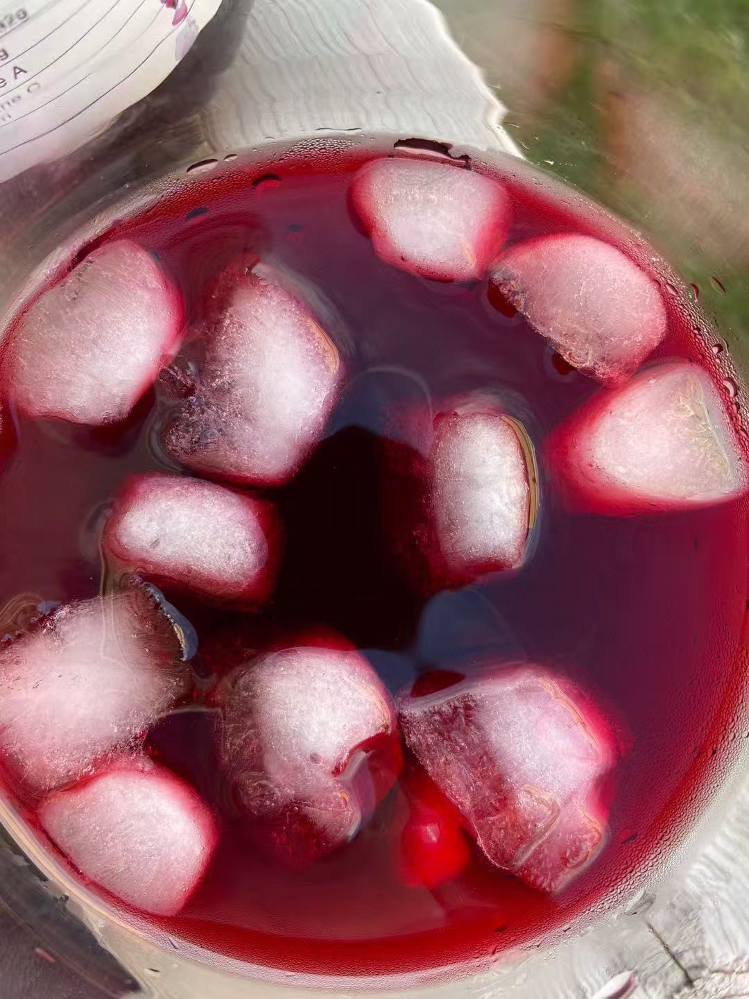 La Festa 100% Natural Wild Blueberry Juice – 1L Family Size