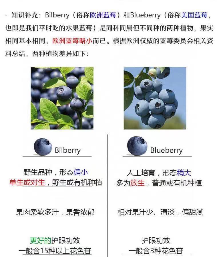 La Festa 100% Natural Wild Blueberry Juice – 330ml Travel Size