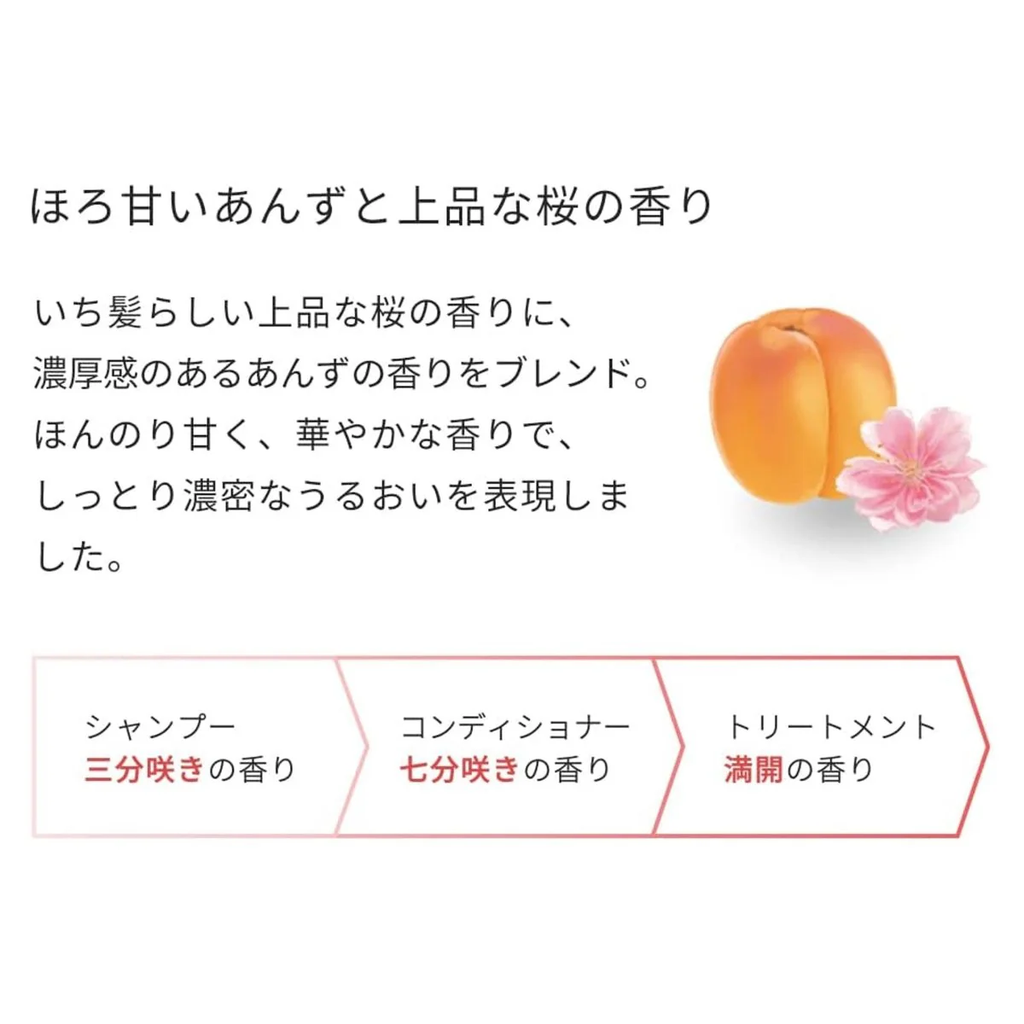 ICHIKAMI Moisturizing Shampoo & Conditioner Set – Japanese Botanical Hair Care by Kracie (480ml x2)