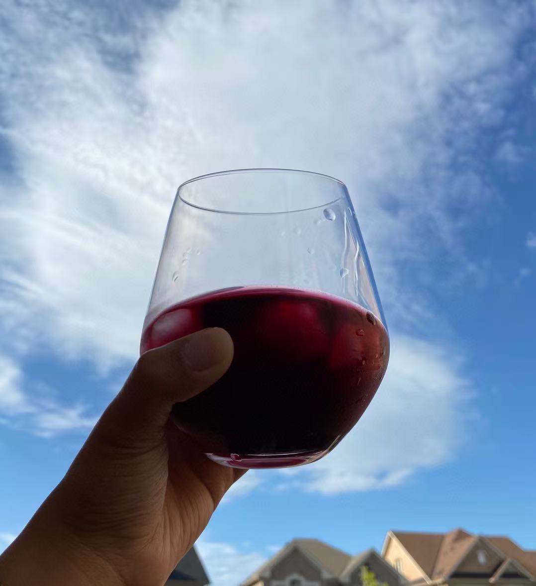 La Festa 100% Natural Wild Blueberry Juice – 1L Family Size