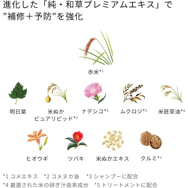 ICHIKAMI Smooth & Smoothing Shampoo + Conditioner Set – Japanese Botanical Hair Care by Kracie