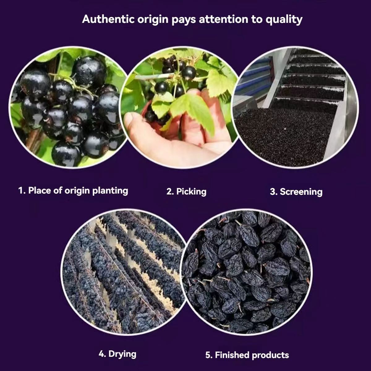 Jumbo Black Raisins (1.36kg/bag)