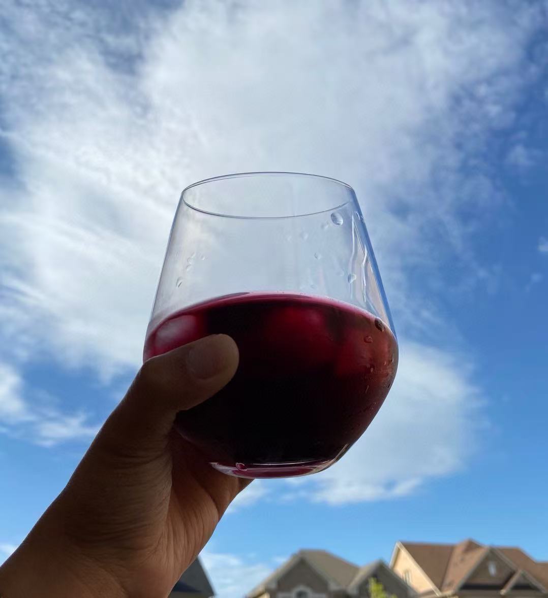 La Festa 100% Natural Wild Blueberry Juice – 330ml Travel Size