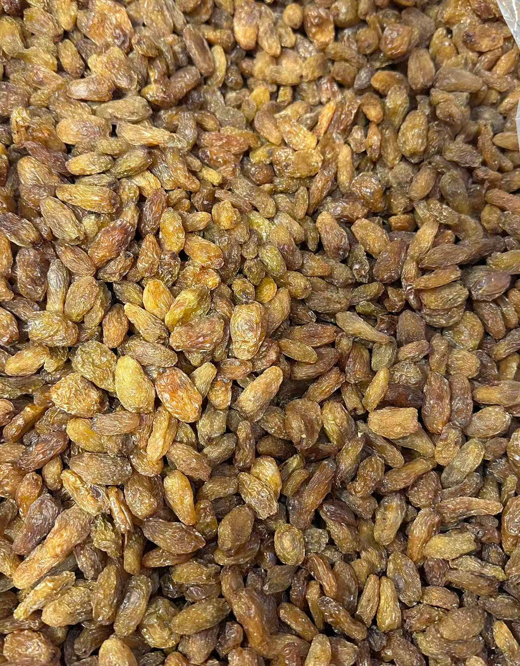 Premium Golden Raisin With Seed Abjosh Munakka (900g/bag)