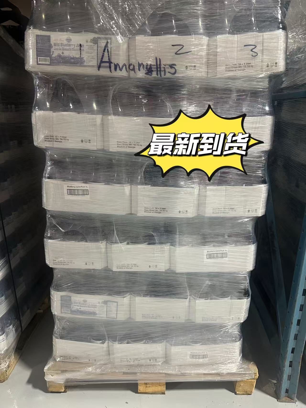 La Festa 100% Natural Wild Blueberry Juice – 1L Family Size